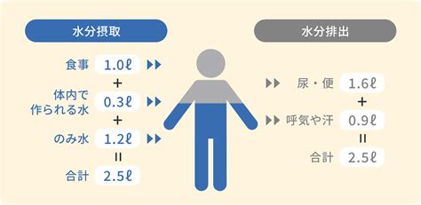 1日に必要な水分