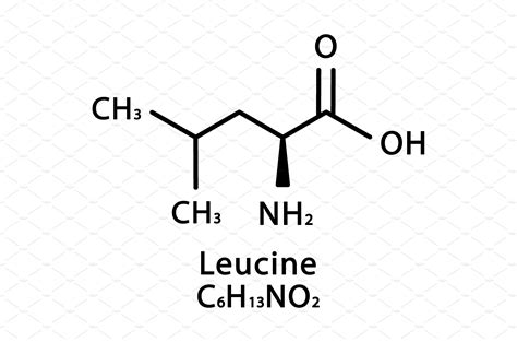 Leucine