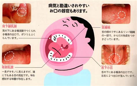 お口の粘膜の水分量