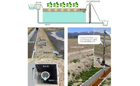 現地圃場における土壌水分観測について思うこと