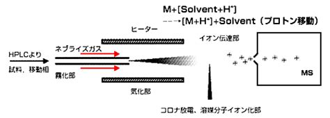 質量分析の基礎、イオン化編：大気圧化学イオン化（APCI）