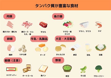 食品タンパク質中の水の挙動に対する塩の影響